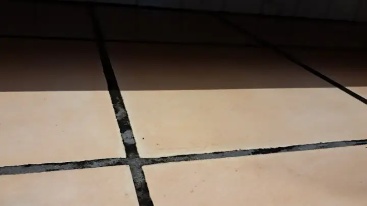 Floor tiles and their grout lines