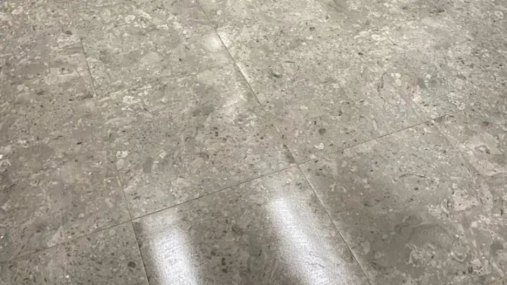 A stone floor, machine-scrubbed to a shine