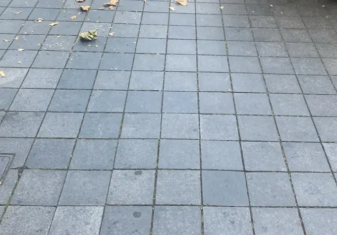 Herfstbladeren over een bestrate binnenplaats, vóór het vegen