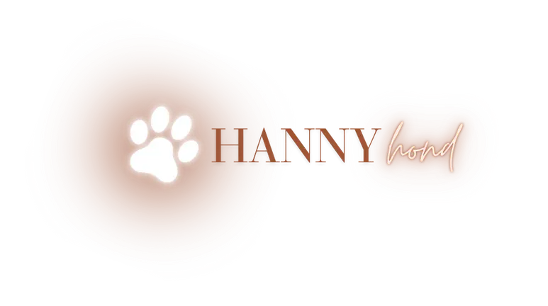 a white paw print with orange text