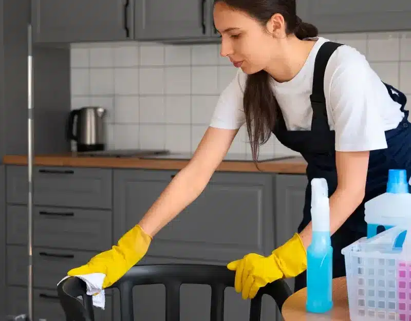 Professional Cleaning Services