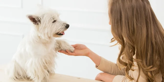 a woman holding a dog